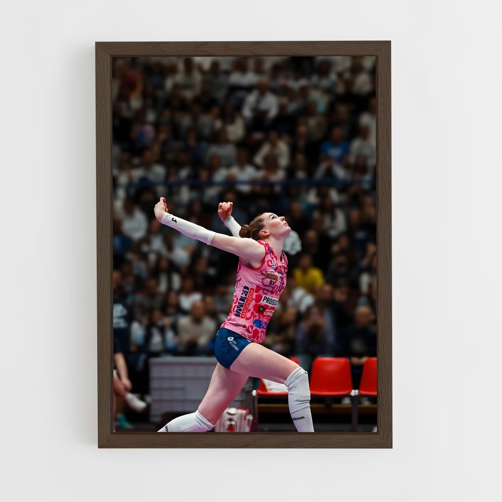 Poster Isabelle de haak – affiche Volleyball (vue 5)